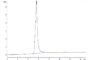 Size-exclusion chromatography-High Pressure Liquid Chromatography (SEC-HPLC) image for Claudin 6 (CLDN6) (Active) protein (ABIN7448164)