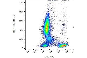 Image no. 2 for anti-CD2 (CD2) antibody (APC) (ABIN192386)
