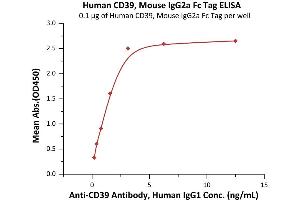 Image no. 1 for Ectonucleoside Triphosphate diphosphohydrolase 1 (ENTPD1) (AA 38-478) (Active) protein (mFc Tag) (ABIN7013522)