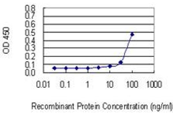 anti-Fibronectin Leucine Rich Transmembrane Protein 1 (FLRT1) (AA 1-674) antibody