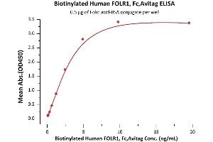 ELISA image for Folate Receptor 1 (Adult) (FOLR1) (AA 25-233) (Active) protein (Fc Tag,AVI tag,Biotin) (ABIN6731323)
