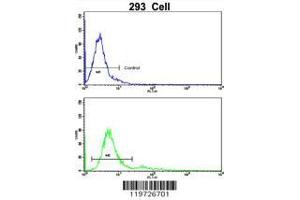 Image no. 3 for anti-Brain and Acute Leukemia, Cytoplasmic (BAALC) (AA 41-68), (N-Term) antibody (ABIN390537)