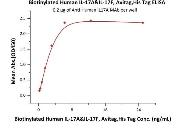 Interleukin-17 A/F Heterodimer (IL-17A/F) (AA 24-155) protein (His tag,AVI tag,Biotin)