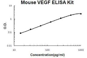 Image no. 1 for Vascular Endothelial Growth Factor (VEGF) ELISA Kit (ABIN411371)