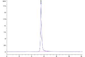 Size-exclusion chromatography-High Pressure Liquid Chromatography (SEC-HPLC) image for Somatostatin Receptor 2 (SSTR2) (Active) protein-VLP (ABIN7448172)
