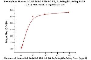 ELISA image for IL-2 R beta & IL-2 R alpha & IL-2 R gamma (AA 22-212), (AA 23-254), (AA 27-239) (Active) protein (Fc Tag,AVI tag,Biotin) (ABIN6973114)