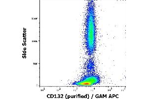 Image no. 1 for anti-Interleukin 2 Receptor, gamma (IL2RG) antibody (ABIN6579821)