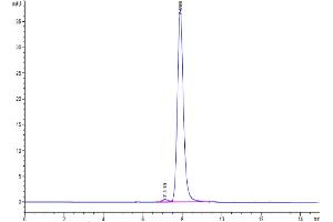 Size-exclusion chromatography-High Pressure Liquid Chromatography (SEC-HPLC) image for Growth Differentiation Factor 15 (GDF15) protein (Fc Tag,Biotin) (ABIN7274726)