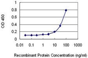 Image no. 2 for anti-Homeodomain Interacting Protein Kinase 4 (HIPK4) (AA 519-616) antibody (ABIN530940)