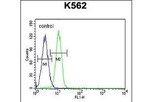 G6PC antibody  (AA 123-149)