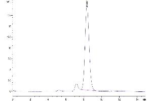 The purity of Human CTLA-4 is greater than 95 % as determined by SEC-HPLC.