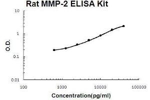 MMP2 ELISA Kit