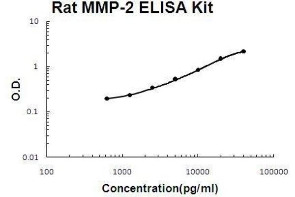 MMP2 ELISA Kit