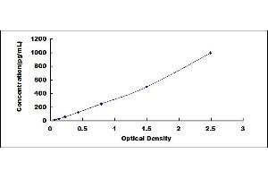 Image no. 1 for Oxidized Low Density Lipoprotein (OxLDL) ELISA Kit (ABIN6958353)