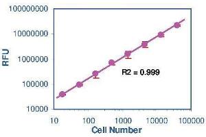 Image no. 1 for Cell Viability Assay Kits (ABIN1000238)