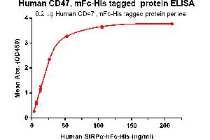 Image no. 3 for CD47 (CD47) protein (mFc-His Tag) (ABIN6961081)