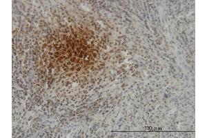 Image no. 2 for anti-Surfactant Protein D (SFTPD) (AA 21-375) antibody (ABIN520152)