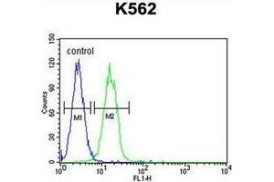 Image no. 1 for anti-Lysine (K)-Specific Demethylase 4C (KDM4C) (AA 1030-1056), (C-Term) antibody (ABIN952976)