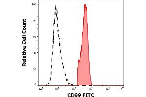 Image no. 2 for anti-CD99 (CD99) antibody (FITC) (ABIN1027669)