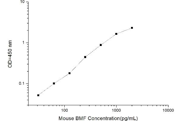 BMF ELISA 试剂盒