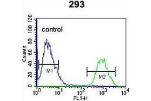 Image no. 1 for anti-HOP Homeobox (HOPX) (AA 46-73), (C-Term) antibody (ABIN952770)