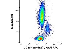 anti-CD86 (CD86) antibody