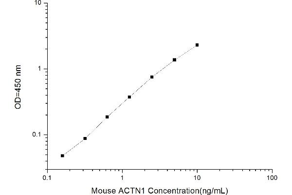 Actinin, alpha 1 (ACTN1) ELISA Kit
