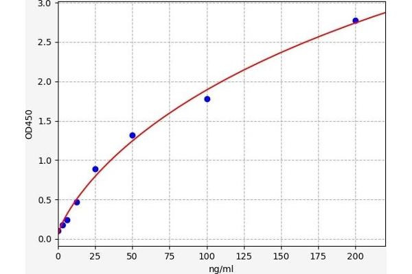 Fibulin 5 ELISA 试剂盒