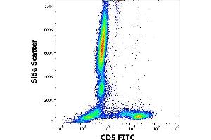 Flow cytometry surface staining pattern of human peripheral whole blood stained using anti-human CD5 (CRIS1) FITC (20 μL reagent / 100 μL of peripheral whole blood).