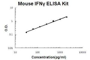 Image no. 1 for Interferon gamma (IFNG) ELISA Kit (ABIN411283)