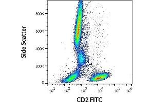 Flow cytometry surface staining pattern of human peripheral whole blood stained using anti-human CD2 (LT2) FITC (20 μL reagent / 100 μL of peripheral whole blood).