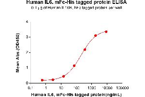 Image no. 1 for Interleukin 6 (IL6) protein (mFc Tag,His tag) (ABIN6961105)