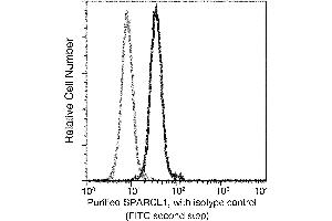 Image no. 1 for anti-SPARC-Like 1 (Hevin) (SPARCL1) (AA 1-664) antibody (ABIN2649169)