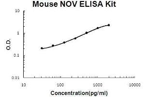 Image no. 1 for Nephroblastoma Overexpressed (NOV) ELISA Kit (ABIN5510592)