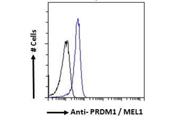 PRDM1 antibody  (Internal Region)