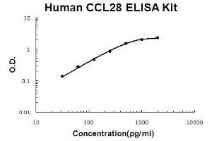 Chemokine (C-C Motif) Ligand 28 (CCL28) ELISA Kit