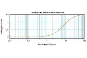 Image no. 2 for anti-Interleukin 9 (IL9) antibody (Biotin) (ABIN465832)
