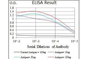 anti-Mesoderm Posterior 2 Homolog (Mesp2) (AA 37-94) antibody