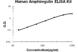 Image no. 1 for Amphiregulin (AREG) ELISA Kit (ABIN1889290)
