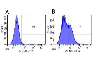 Flow Cytometry (FACS) image for anti-IL2RA (Daclizumab Biosimilar) antibody (ABIN5668119)