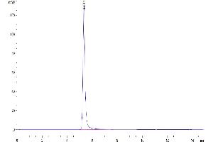 Size-exclusion chromatography-High Pressure Liquid Chromatography (SEC-HPLC) image for Claudin 6 (CLDN6) (Active) protein (ABIN7448162)