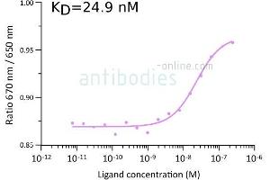 Image no. 1 for anti-SARS-CoV-2 Spike (AA 319-541) antibody (ABIN7042145)