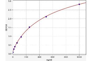 Image no. 1 for Coagulation Factor VIII (F8) ELISA Kit (ABIN6965898)