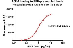 Binding Studies (Bind) image for SARS-CoV-2 Spike protein RBD-coupled magnetic beads (ABIN6952716)