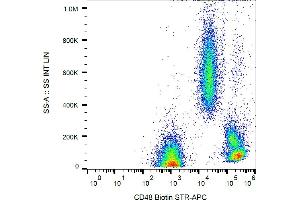 Image no. 1 for anti-CD48 (CD48) antibody (Biotin) (ABIN94158)