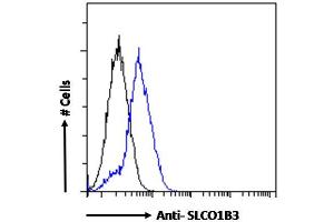 Image no. 2 for anti-Solute Carrier Organic Anion Transporter Family, Member 1B3 (SLCO1B3) (Internal Region) antibody (ABIN570800)