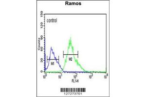 Flow Cytometry (FACS) image for anti-Coronin 6 (CORO6) antibody (ABIN2158333)