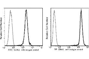 Image no. 1 for anti-Glucosidase, Beta, Acid 3 (Cytosolic) (GBA3) (AA 1-469) antibody (FITC) (ABIN1998903)