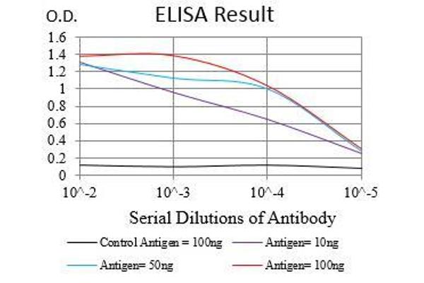 anti-Zinc Finger E-Box Binding Homeobox 1 (ZEB1) (AA 967-1108) antibody
