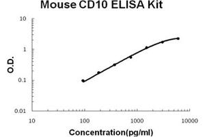 Image no. 1 for Membrane Metallo-Endopeptidase (MME) ELISA Kit (ABIN1672816)